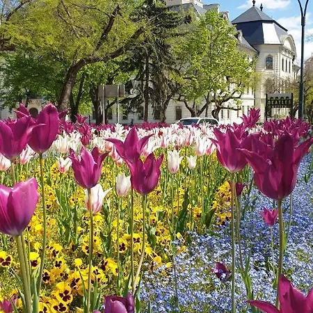 公寓 Foglal-lak *